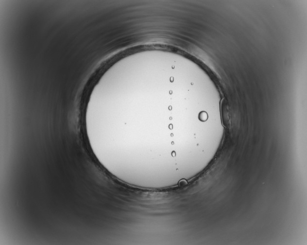 X0000089831116200707191821