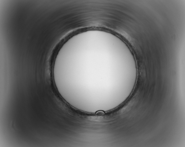 X0000089831118200707191821