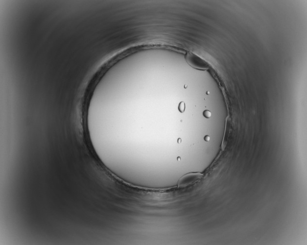 X0000089831120200707191821