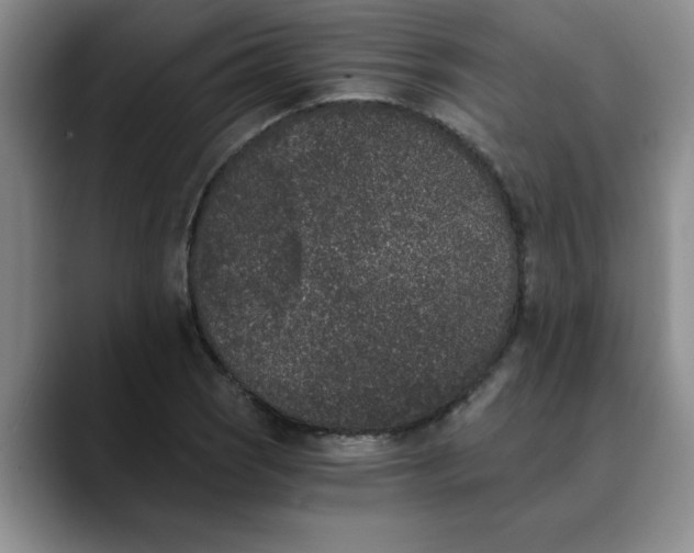 X0000089831121200707191821