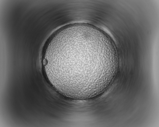 X0000089831124200707191821