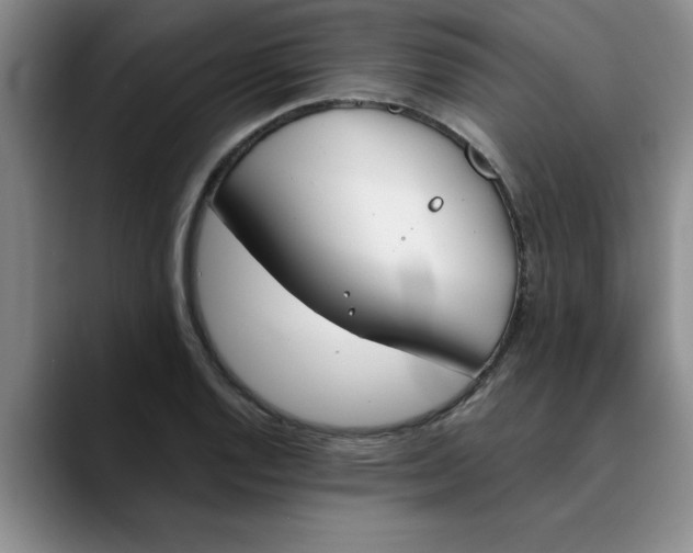 X0000089831128200707191821