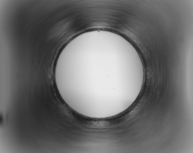 X0000089831129200707191821