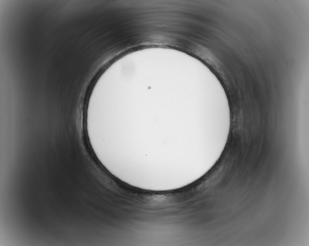 X0000089831130200707191821