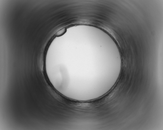 X0000089831131200707191821