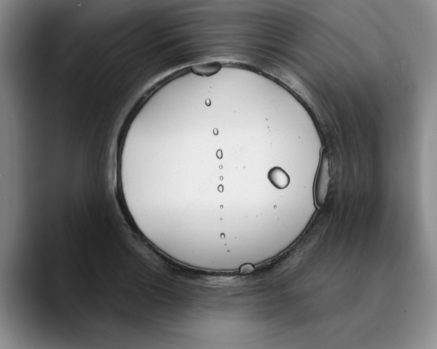 X0000089831132200707191821