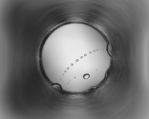 X0000089831133200707191821