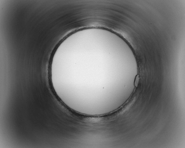 X0000089831134200707191821