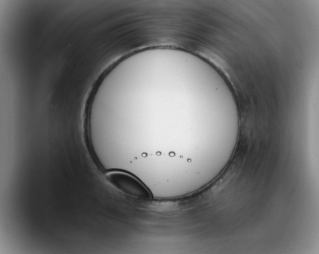 X0000089831135200707191821