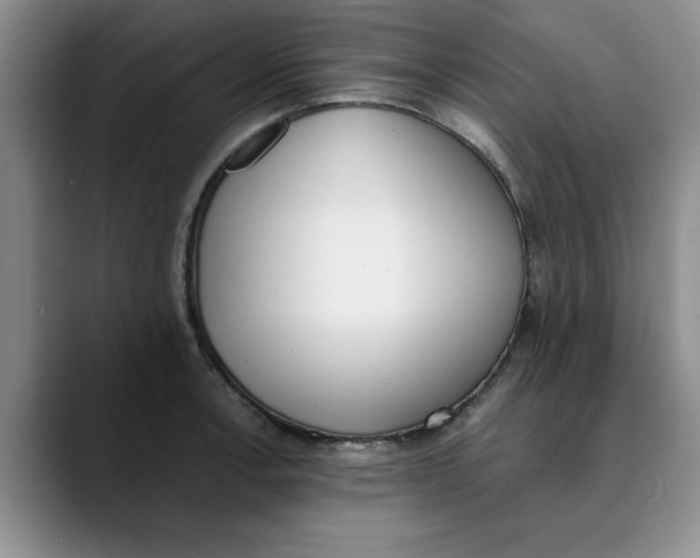 X0000089831138200707191821