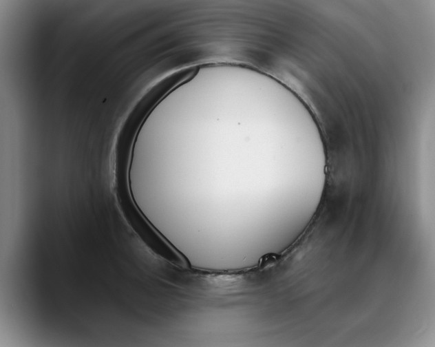 X0000089831140200707191821