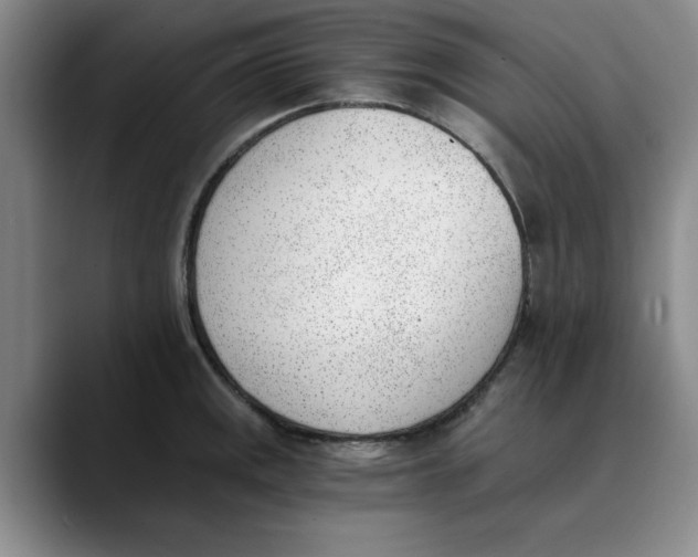 X0000089831141200707191821