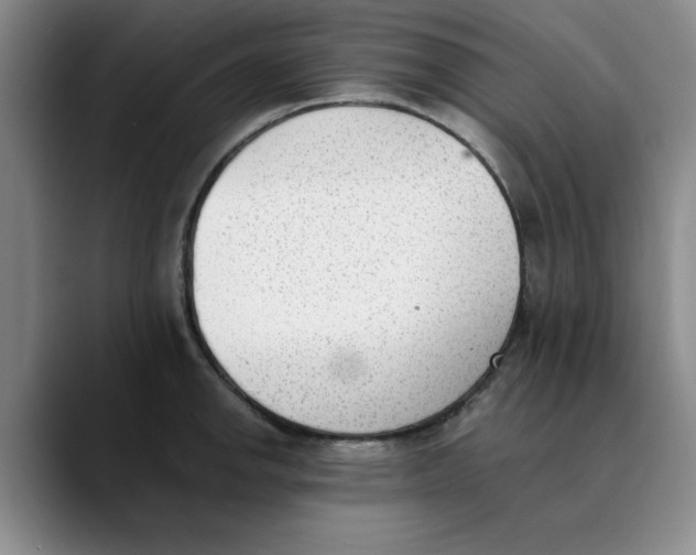 X0000089831142200707191821