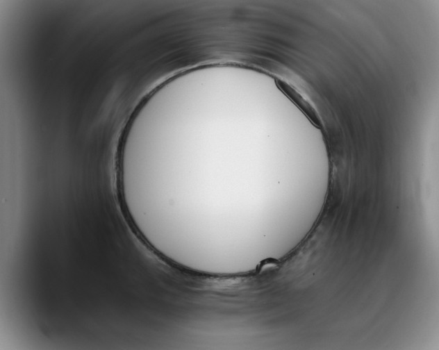 X0000089831143200707191821