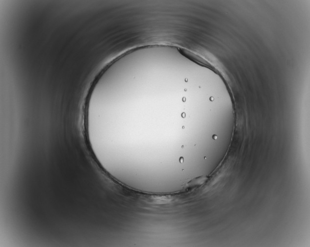 X0000089831144200707191821