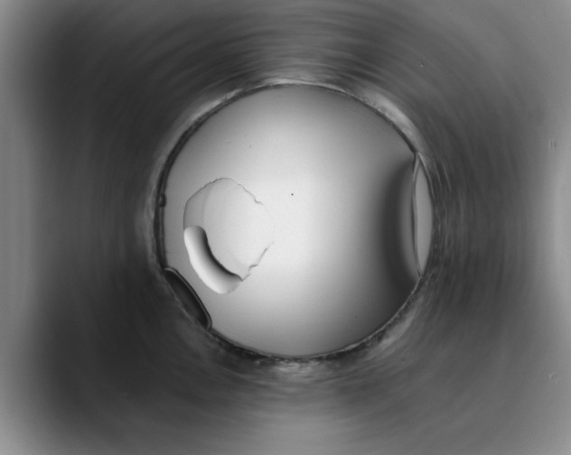 X0000089831146200707191821