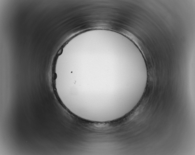 X0000089831147200707191821