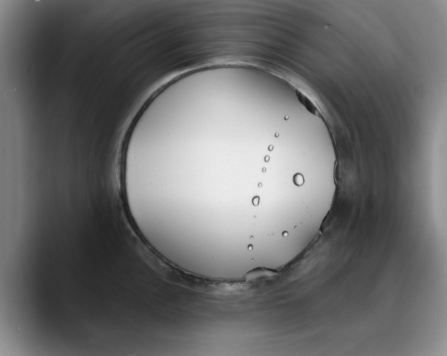 X0000089831148200707191821