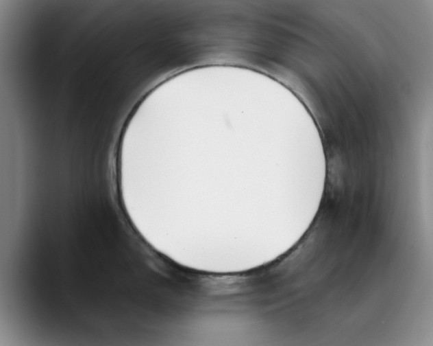 X0000089831150200707191821