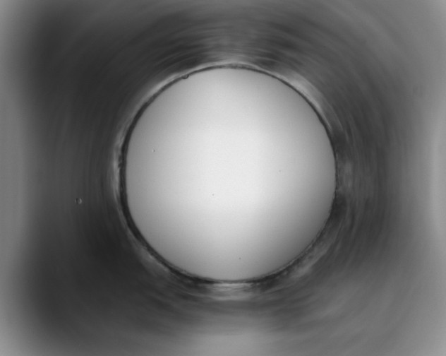 X0000089831151200707191821