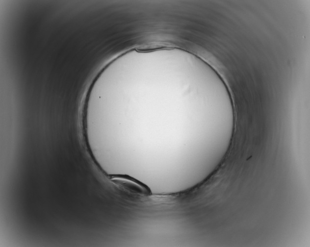 X0000089831152200707191821