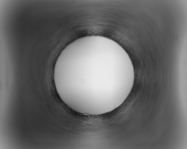 X0000089831153200707191821