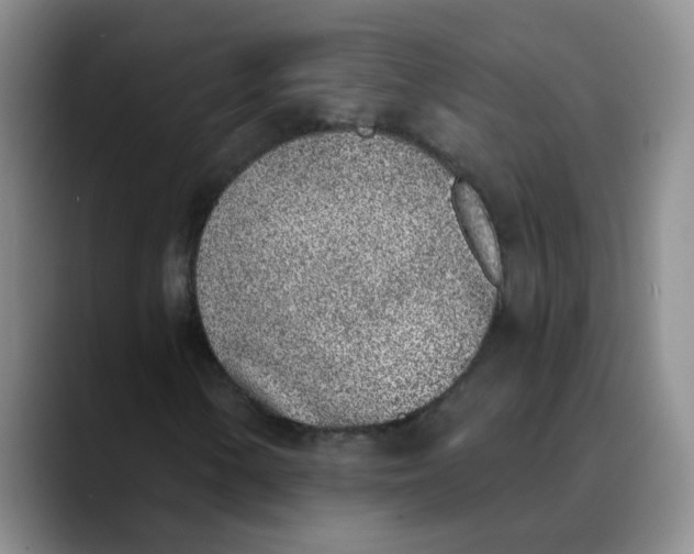 X0000089831154200707191821