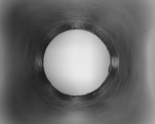 X0000089831155200707191821