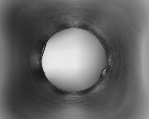 X0000089831156200707191821