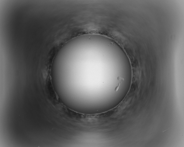 X0000089831157200707191821