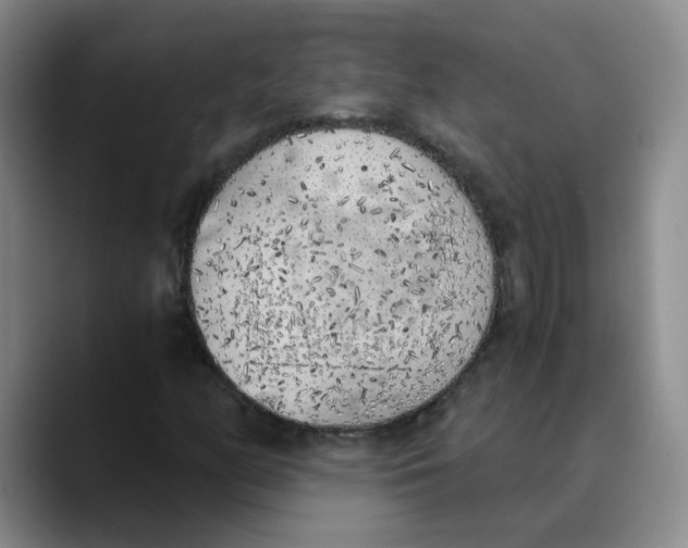 X0000089831158200707191821