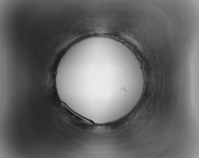 X0000089831160200707191821