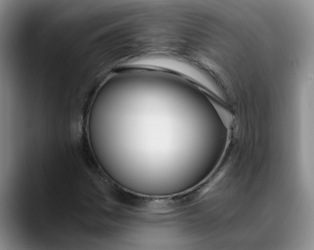 X0000089831161200707191821