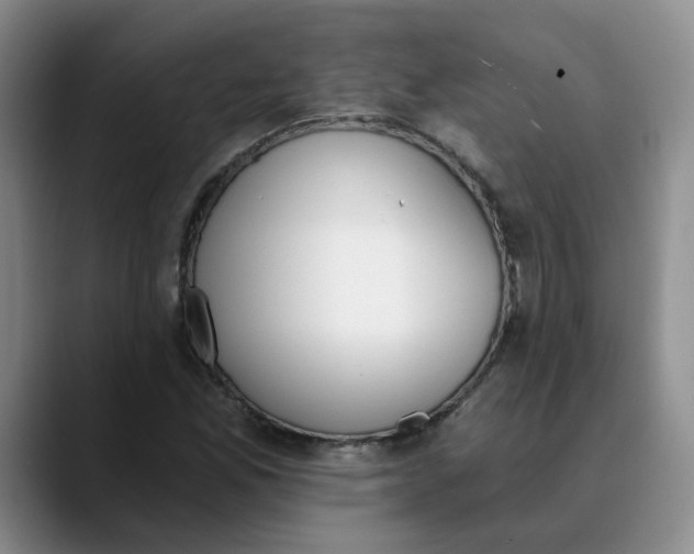 X0000089831165200707191821