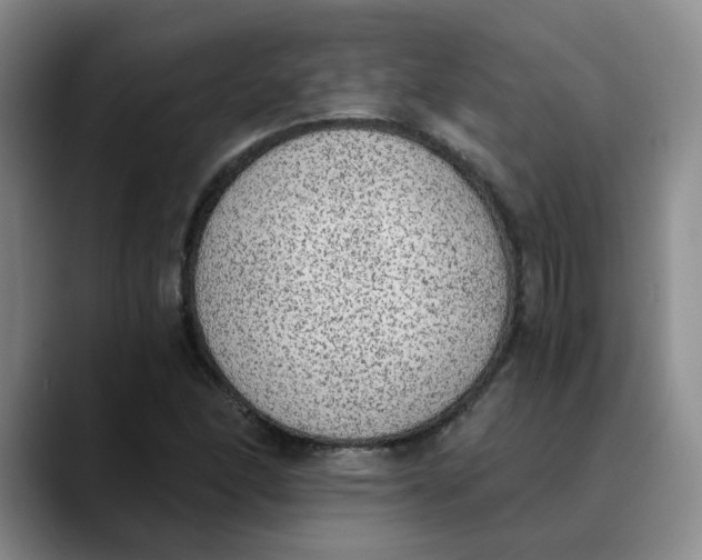 X0000089831166200707191821