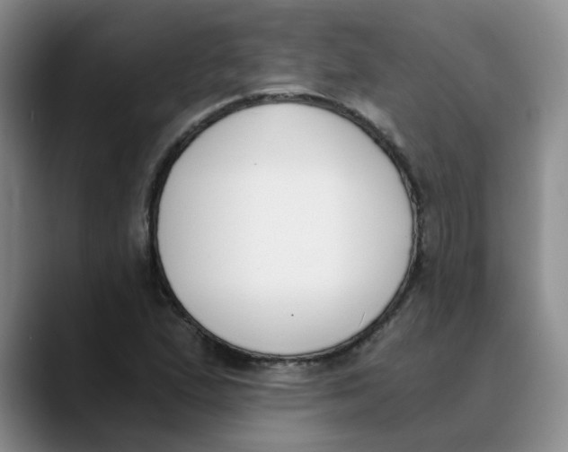 X0000089831167200707191821