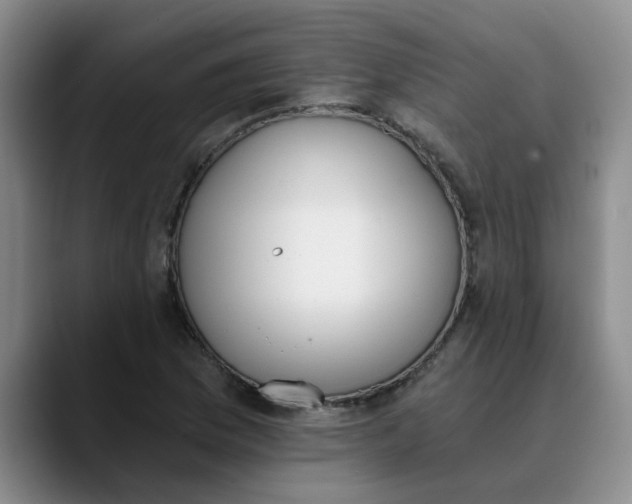 X0000089831169200707191821