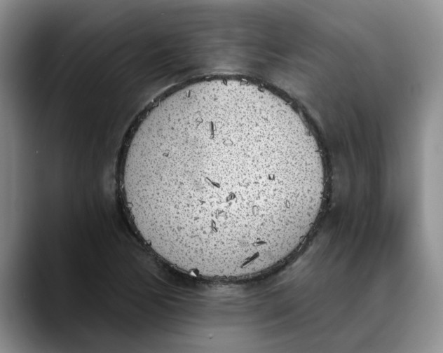 X0000089831170200707191820