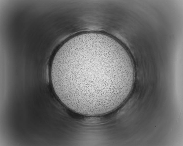 X0000089831171200707191820