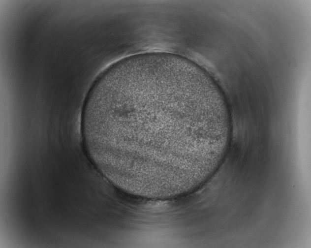 X0000089831174200707191820