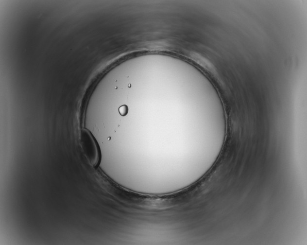 X0000089831176200707191820