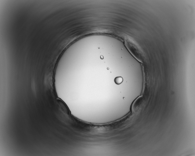 X0000089831177200707191820