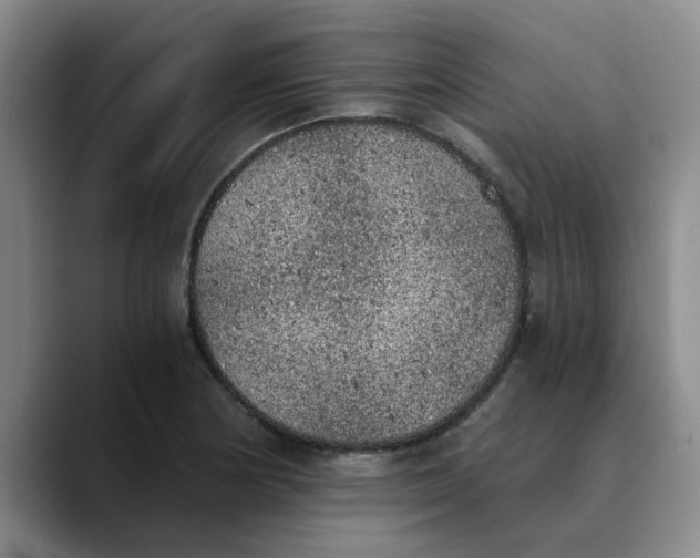 X0000089831178200707191820