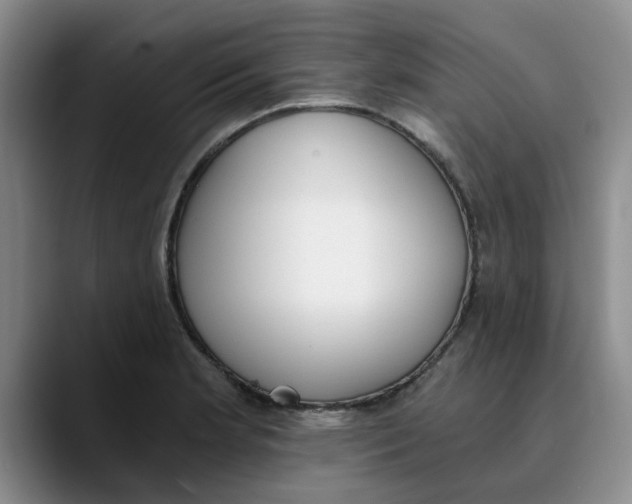 X0000089831181200707191820