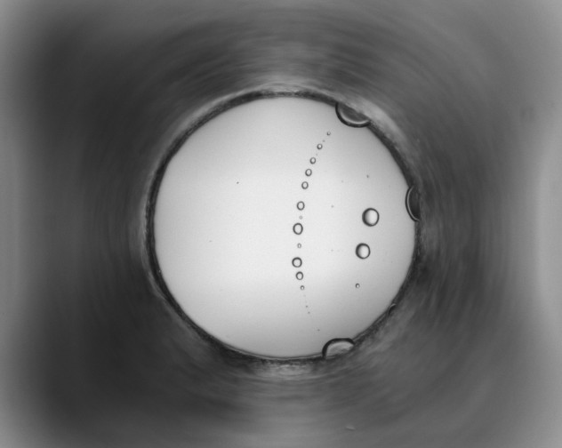 X0000089831183200707191820