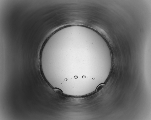 X0000089831184200707191820