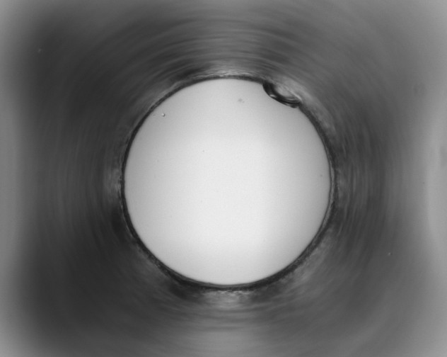 X0000089831185200707191820