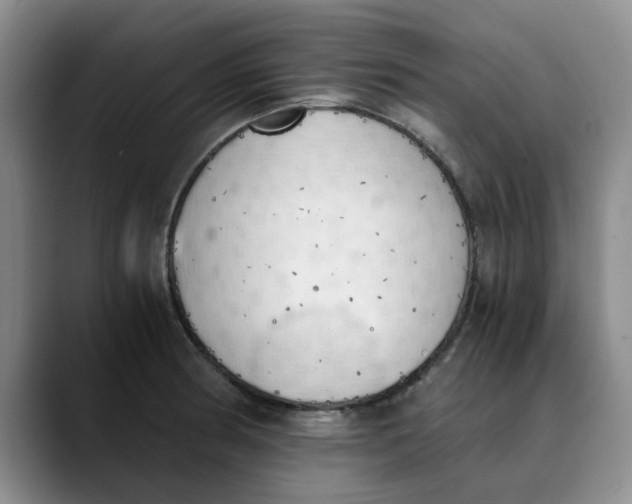 X0000089831186200707191820