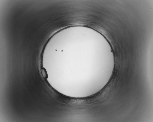 X0000089831187200707191820