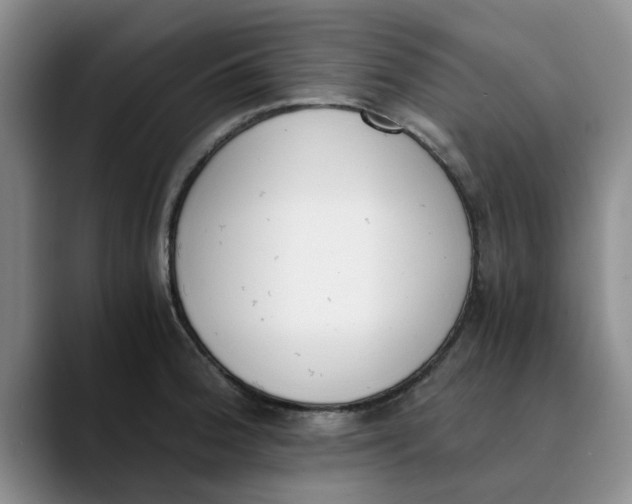 X0000089831188200707191820